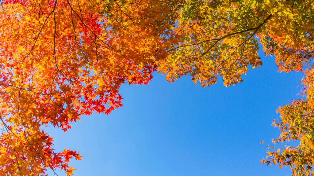 Sunny Friday in Twin Cities with mostly dry Halloween weekend — Winona Sports news
