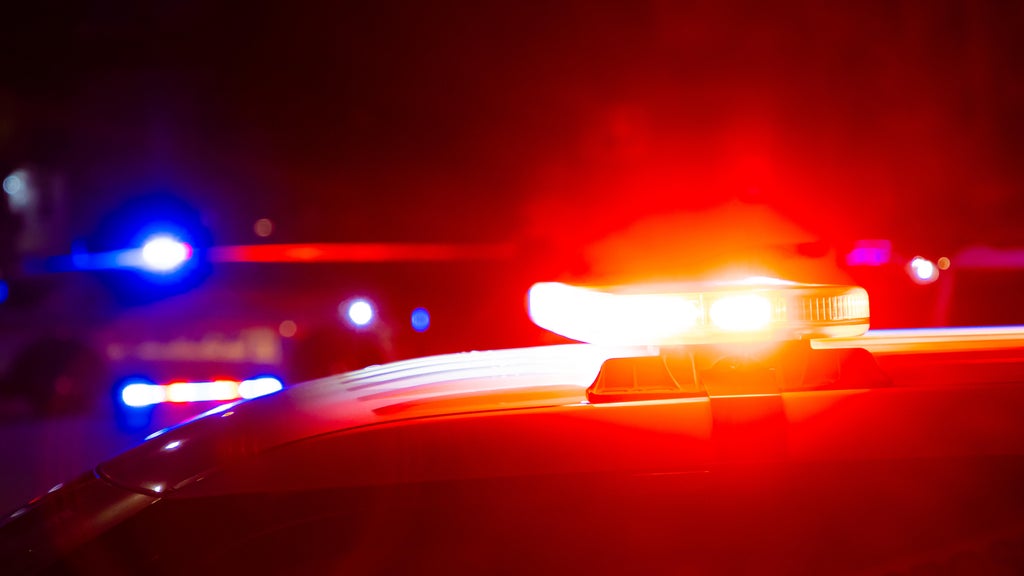 Driver killed in head-on collision with semi in central Minnesota — Winona Sports news